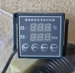 温湿度控制器 精准环境控制的智慧之选